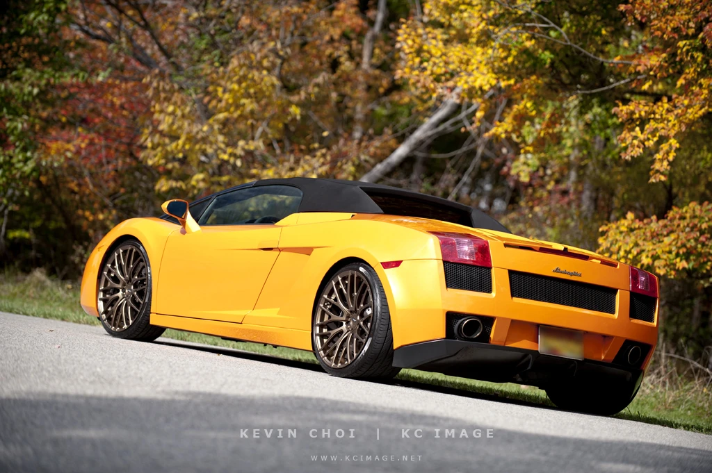 2008 Lamborghini Gallardo - Image 6 of 13