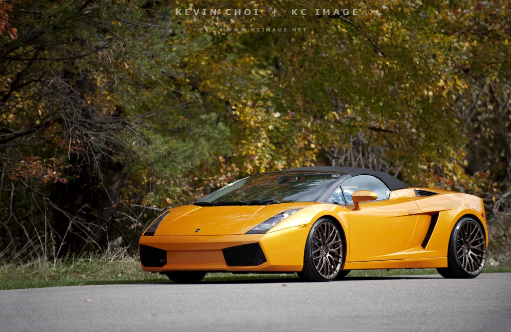 2008 Lamborghini Gallardo - Image 4 of 13