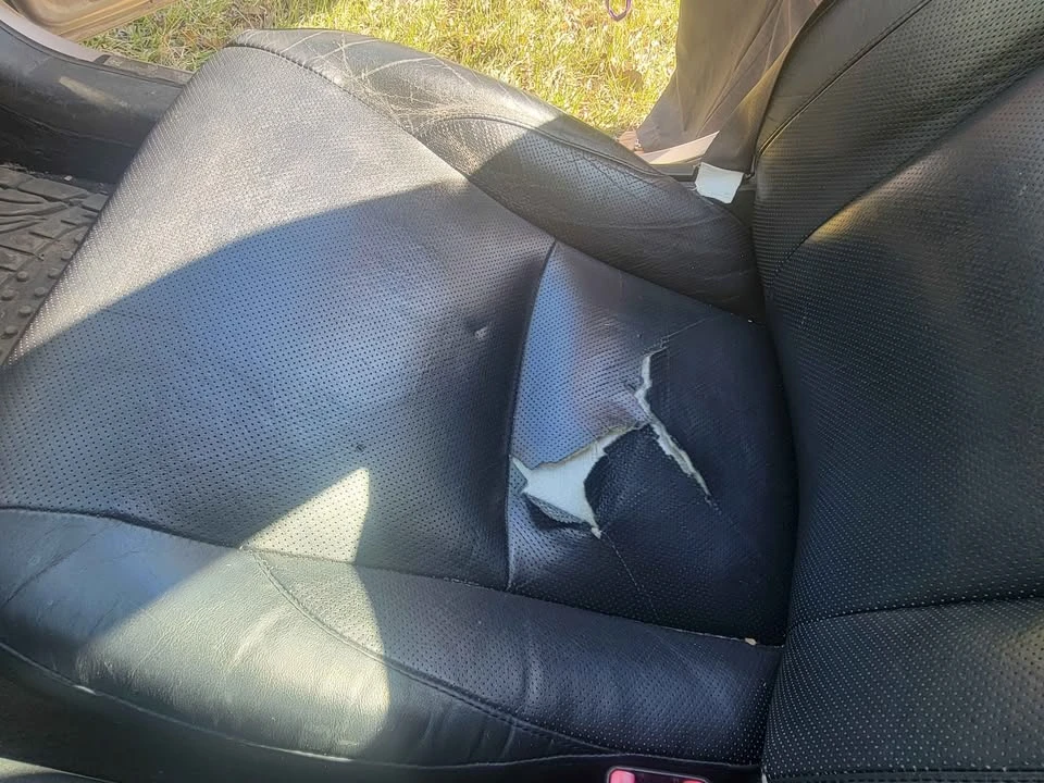 2008 Lexus ES 5th Gen - Image 8 of 9
