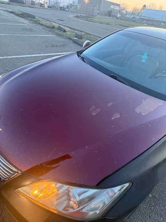 2008 Lexus ES 5th Gen - Image 3 of 17