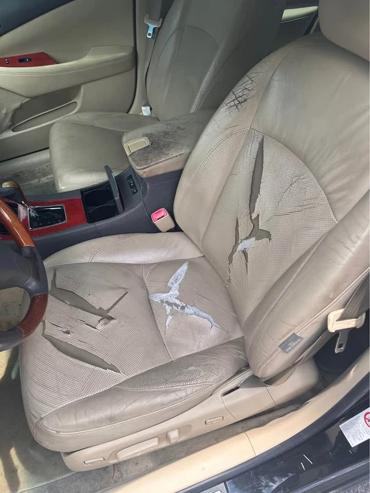 2008 Lexus ES 5th Gen - Image 6 of 10