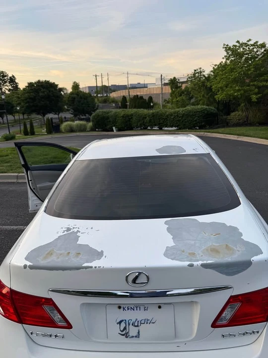 2008 Lexus ES 5th Gen - Image 9 of 12