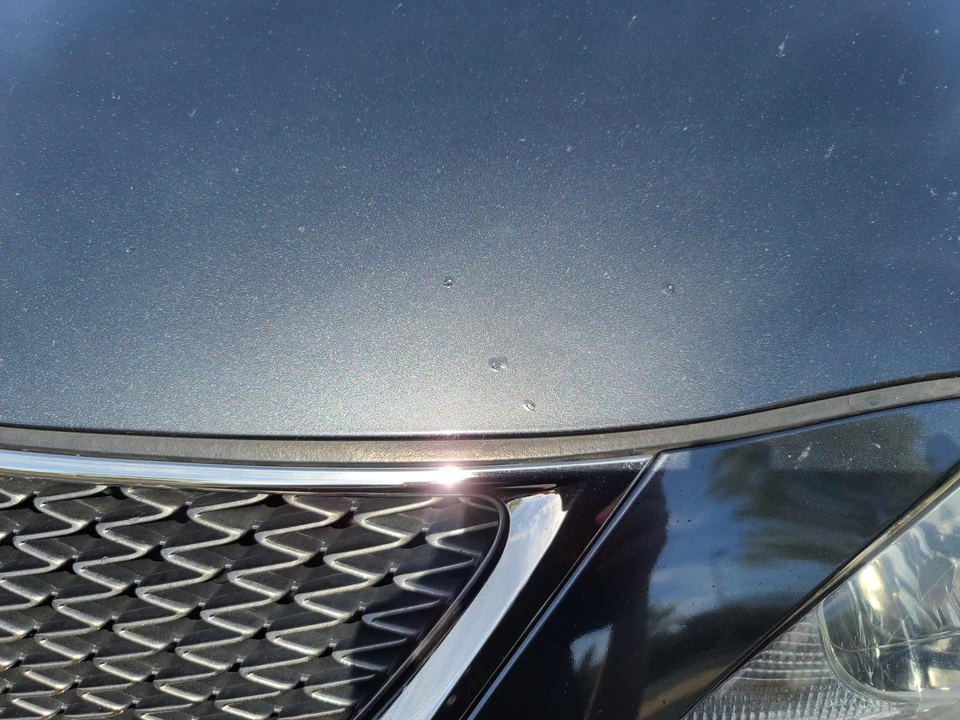 2008 Lexus IS F 2nd Gen - Image 21 of 31