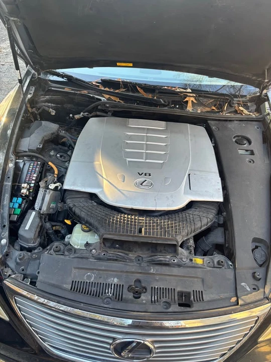 2008 Lexus LS 4th Gen - Image 12 of 14