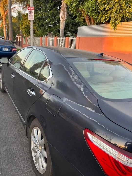 2008 Lexus LS 4th Gen - Image 10 of 10