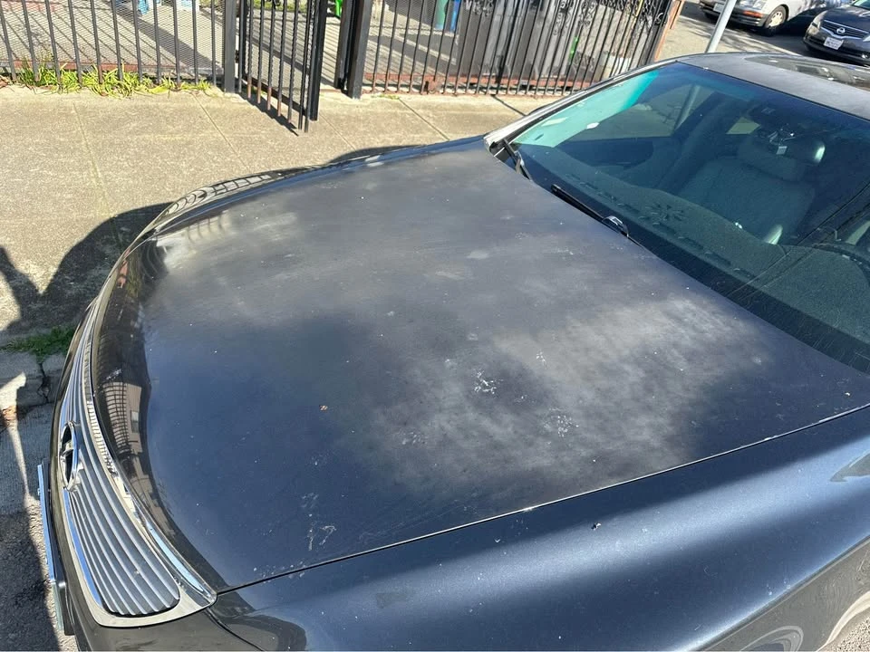 2008 Lexus LS 4th Gen - Image 9 of 14