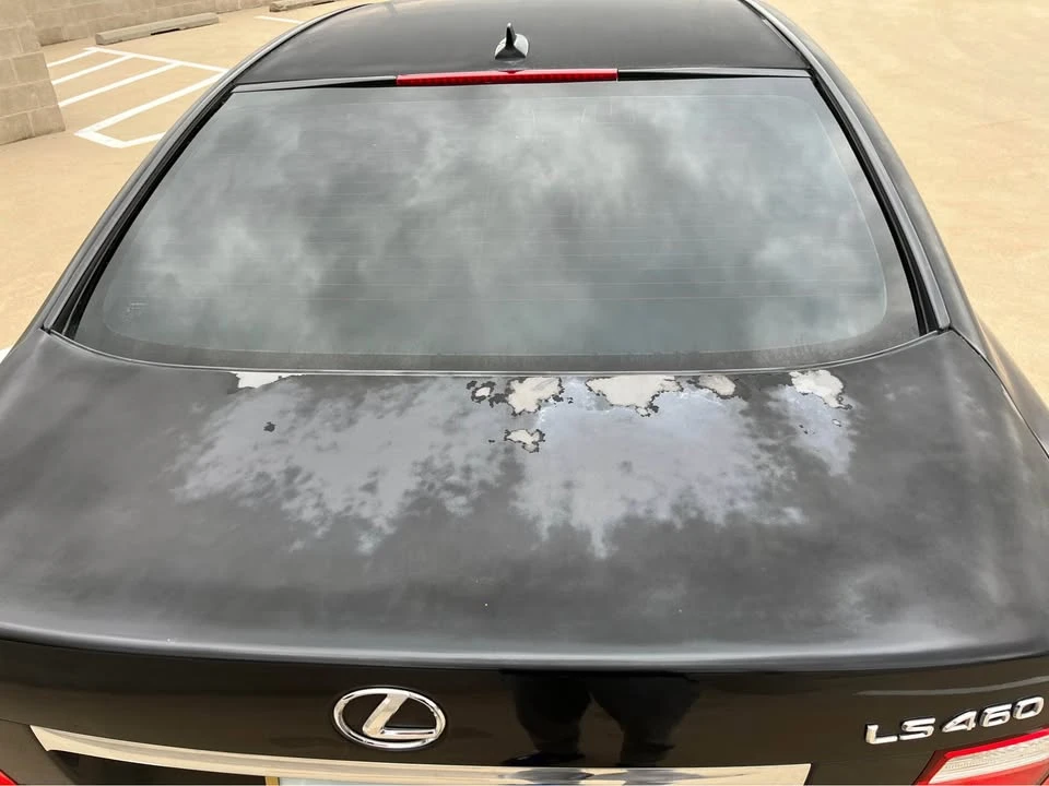2008 Lexus LS 4th Gen - Image 16 of 18