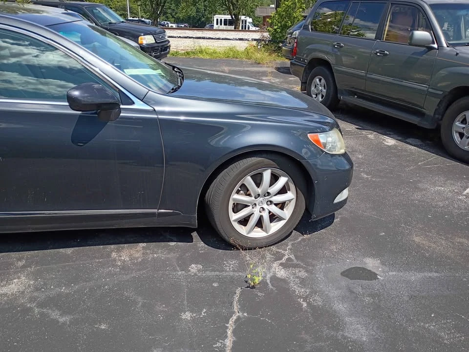 2008 Lexus LS 4th Gen - Image 9 of 9