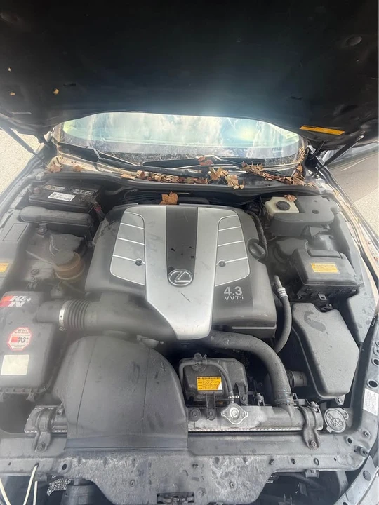 2008 Lexus SC430 - Image 16 of 17