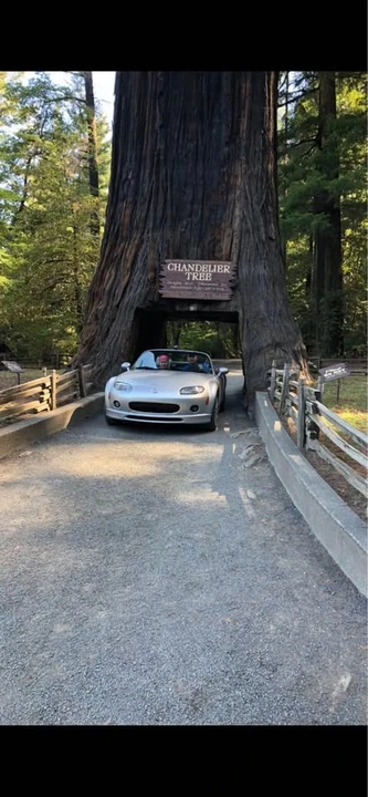 2008 Mazda NC MX-5 Miata - Image 9 of 14
