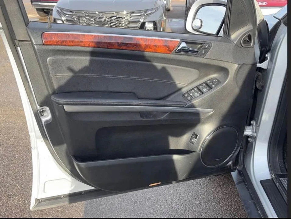2008 Mercedes-Benz X164 GL-Class - Image 19 of 20