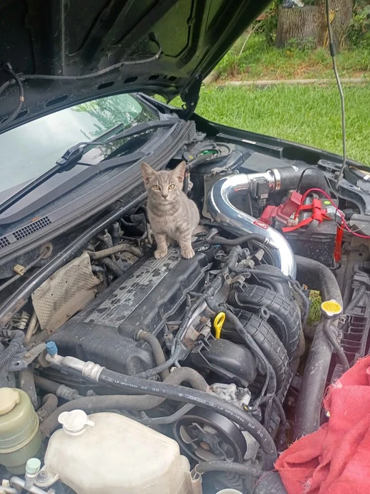 2008 Mitsubishi Lancer 9th Gen - Image 16 of 16