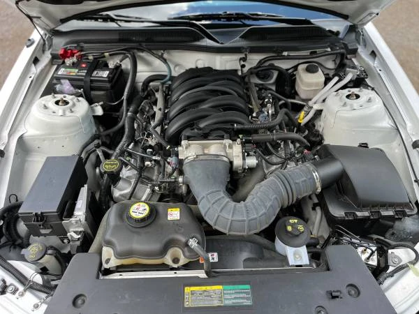 2008 Ford S197 Mustang - Image 11 of 11