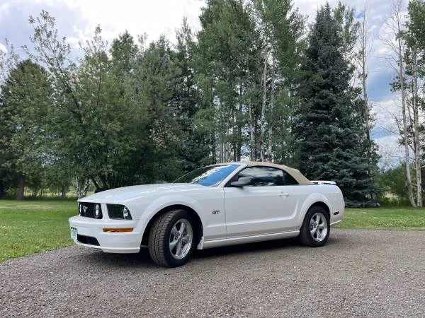 2008 Ford S197 Mustang - Image 2 of 11