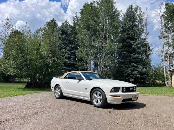 2008 Ford S197 Mustang - Image 4 of 11