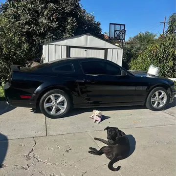2008 Ford Mustang GT California Special