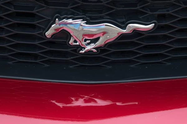 2008 Ford S197 Mustang - Image 7 of 21
