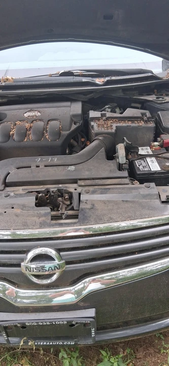 2008 Nissan Altima 4th Gen - Image 5 of 5