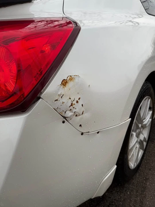 2008 Nissan Altima 4th Gen - Image 10 of 10