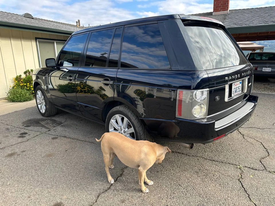 2008 Land Rover Range Rover L322 - Image 2 of 5