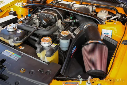 2008 Shelby GT500 - Image 3 of 6