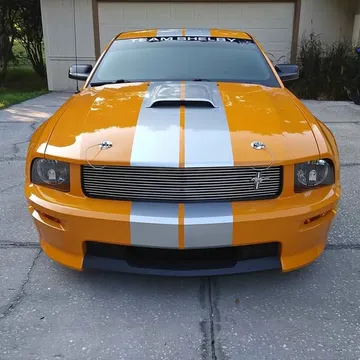 2008 Shelby GT-C