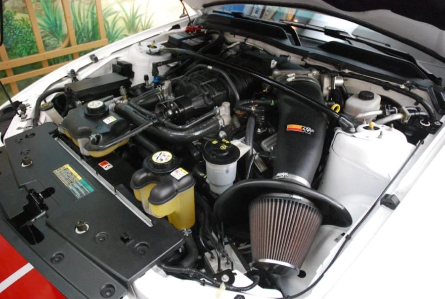 2008 Shelby GT500 - Image 7 of 8