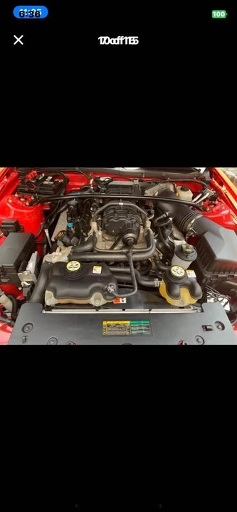 2008 Shelby GT500 - Image 10 of 15