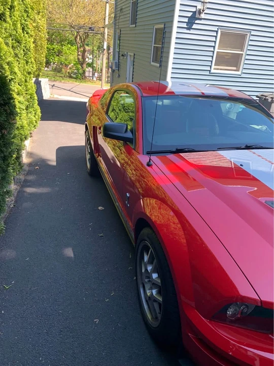 2008 Shelby GT500 - Image 3 of 15