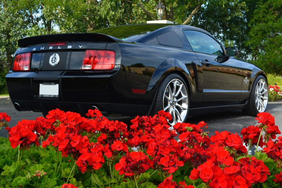 2008 Shelby GT500 - Image 2 of 8
