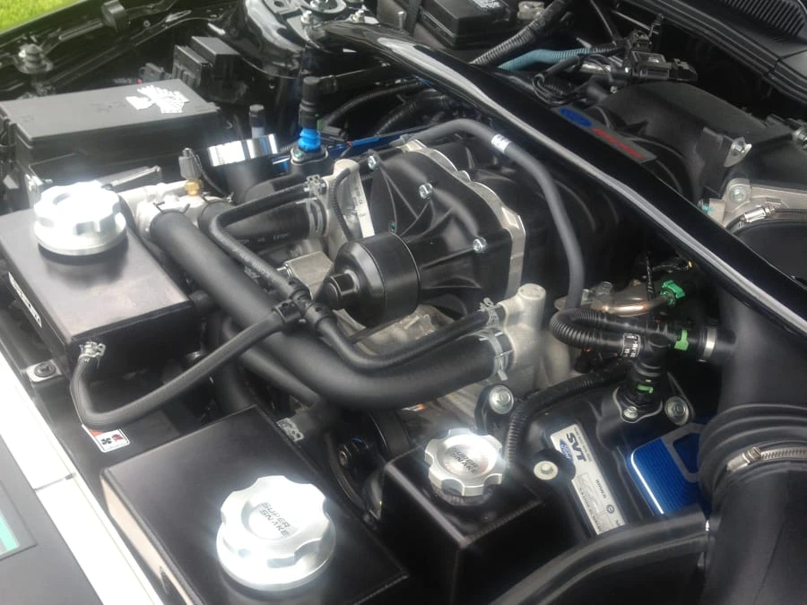 2008 Shelby GT500 - Image 4 of 5