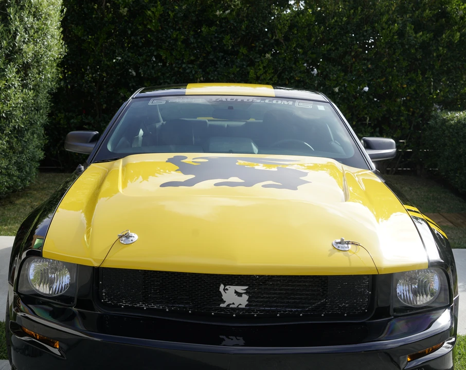 2008 Shelby GT500 - Image 6 of 17
