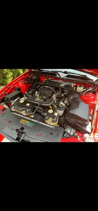 2008 Shelby GT500 - Image 8 of 12