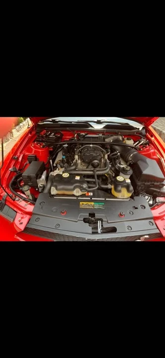 2008 Shelby GT500 - Image 7 of 12