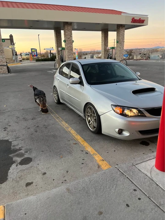 2008 Subaru Impreza WRX 3rd Gen - Image 3 of 5