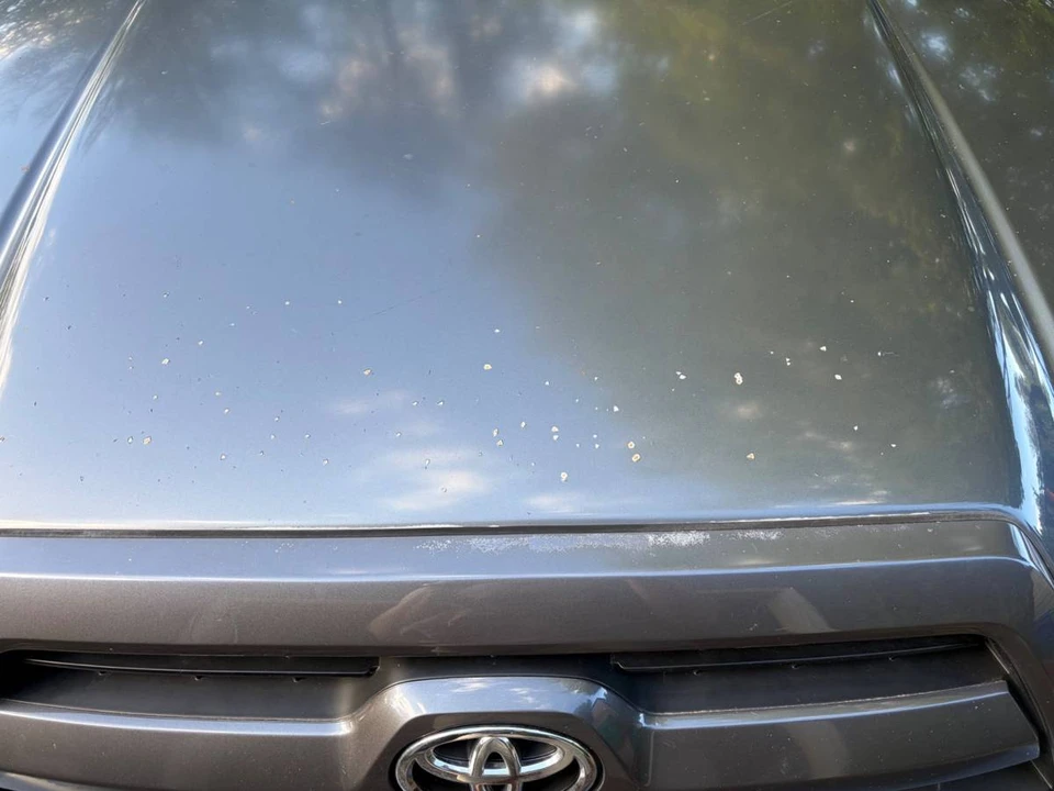 2008 Toyota 4Runner 4th Gen - Image 11 of 13
