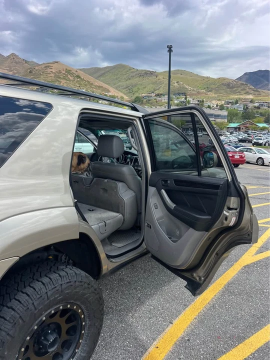2008 Toyota 4Runner 4th Gen - Image 11 of 20
