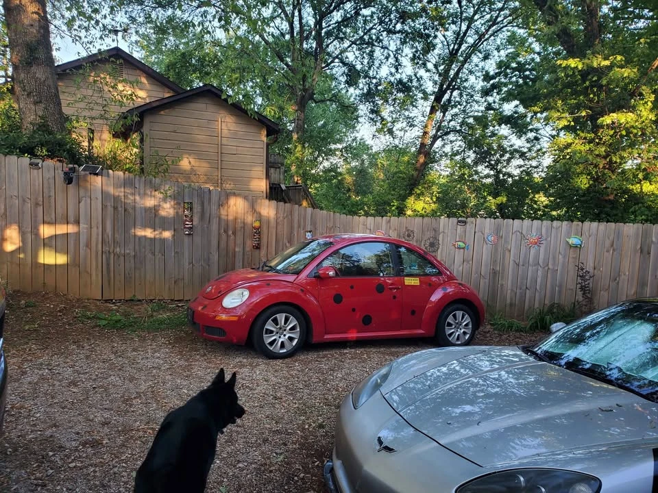 2008 Volkswagen New Beetle - Image 2 of 10