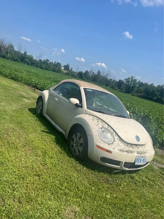 2008 Volkswagen New Beetle - Image 5 of 6