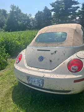 2008 Volkswagen Beetle