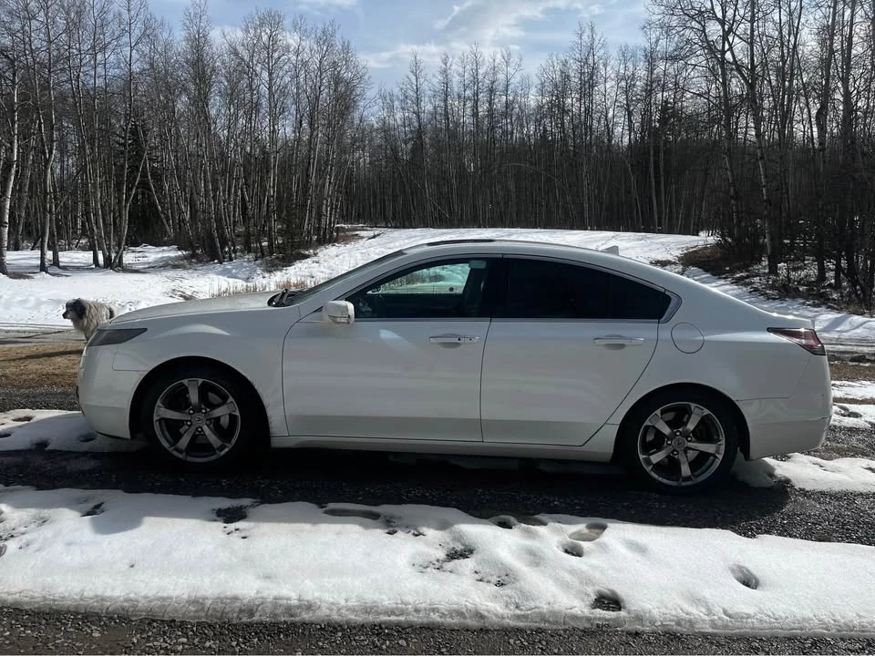 2009 Acura TL 4th Gen - Image 5 of 11
