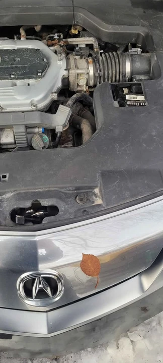 2009 Acura TL 4th Gen - Image 13 of 13