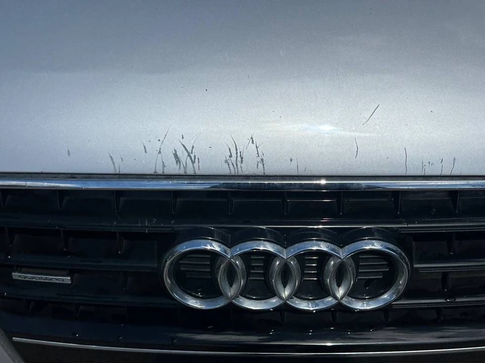 2009 Audi A5 - Image 14 of 14