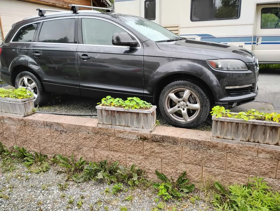 2009 Audi 4L Q7 - Image 2 of 15