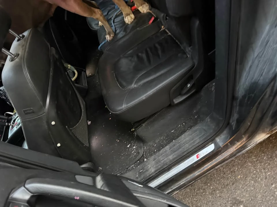 2009 Audi 4L Q7 - Image 11 of 11