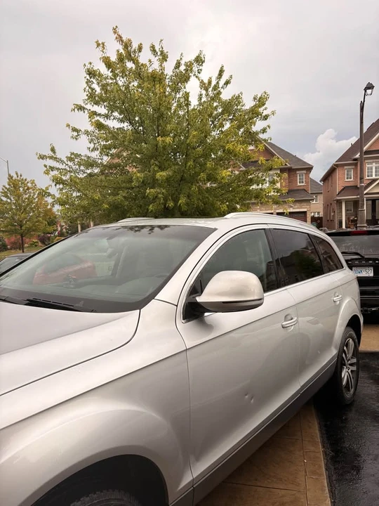 2009 Audi 4L Q7 - Image 6 of 19