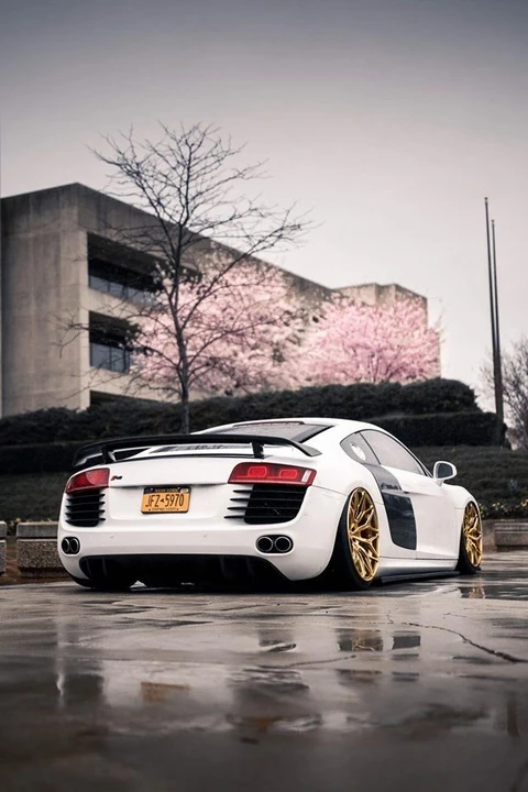 2009 Audi 42 R8 - Image 2 of 9