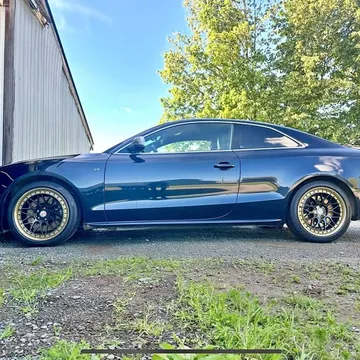 2009 Audi S5