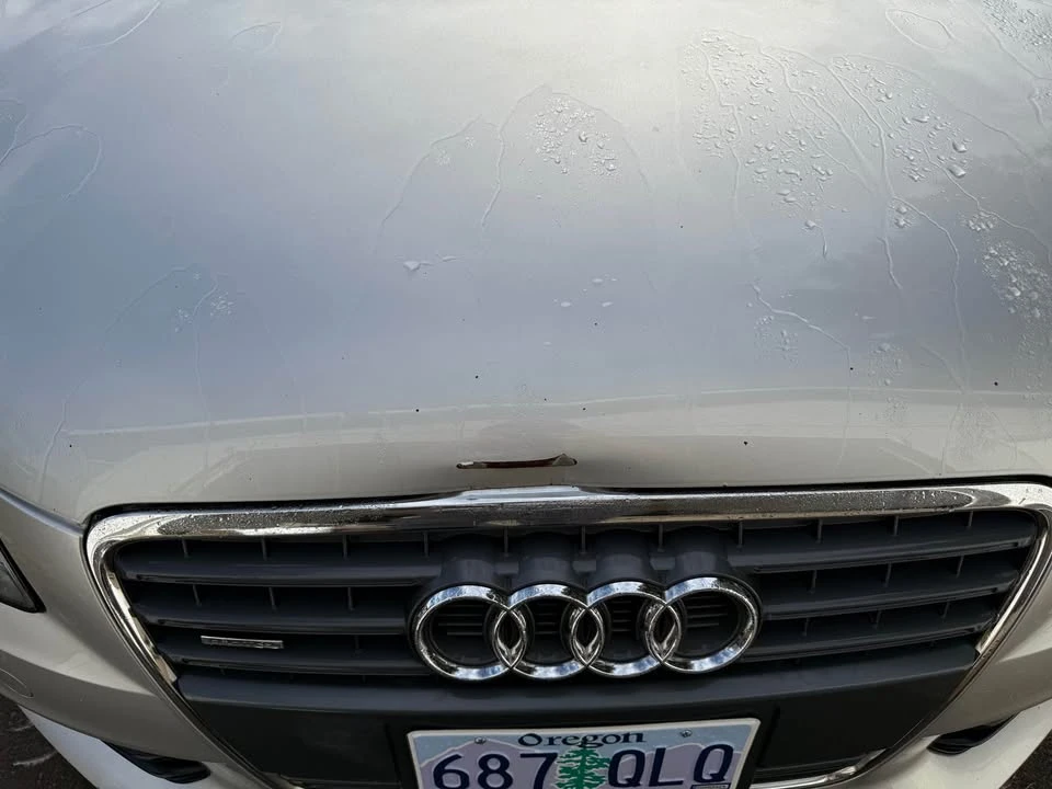 2009 Audi B7 A4 - Image 8 of 18