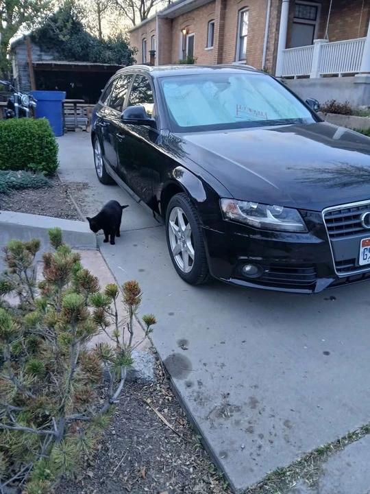 2009 Audi B8 A4 - Image 2 of 14